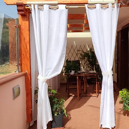 Patty's * 维拉西米乌斯